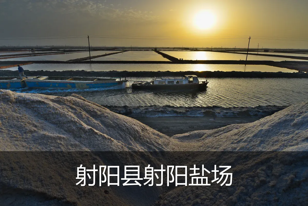 射阳县射阳盐场
