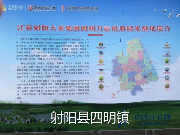 射阳县四明镇