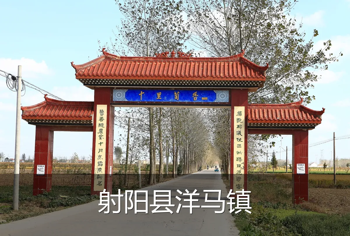 射阳县洋马镇