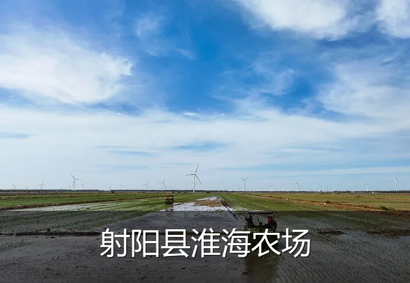 射阳县淮海农场