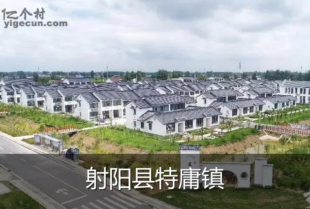 射阳县特庸镇